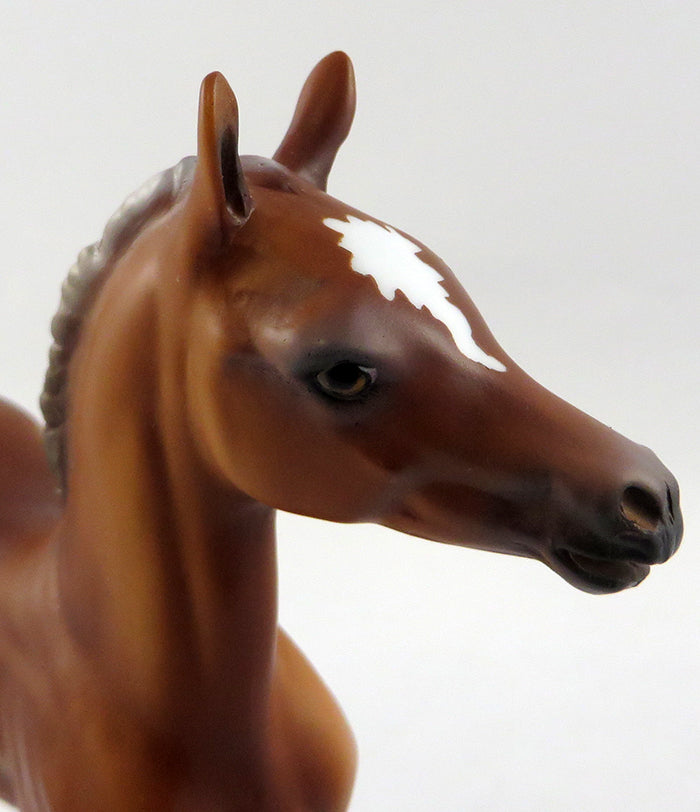 SPANKY-OOAK SORREL COLT FOAL MODEL HORSE BY DAWN QUICK 10/18/16