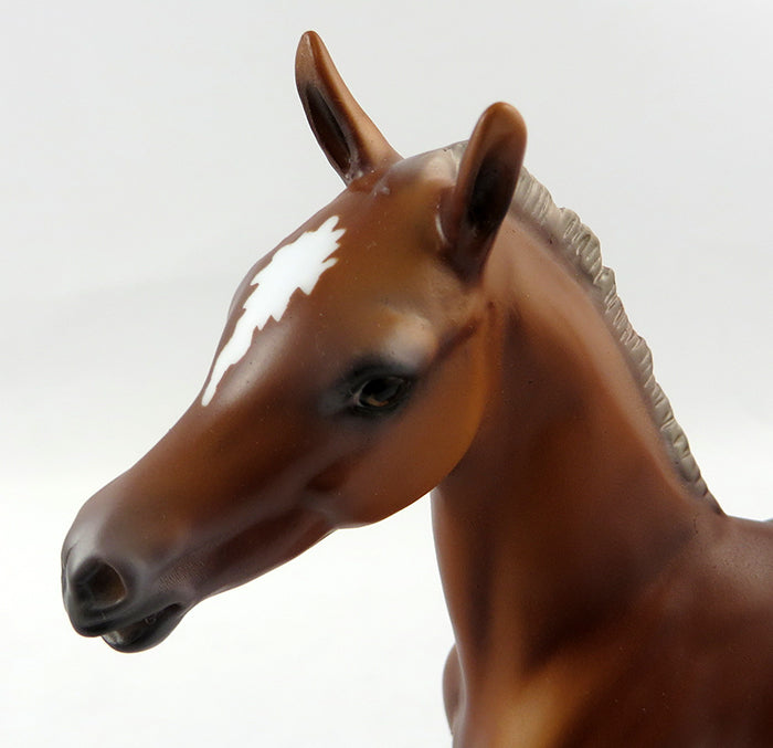 SPANKY-OOAK SORREL COLT FOAL MODEL HORSE BY DAWN QUICK 10/18/16