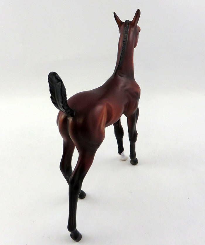 UH-HUH-OOAK BAY COLT FOAL MODEL HORSE BY DAWN QUICK 10/18/16