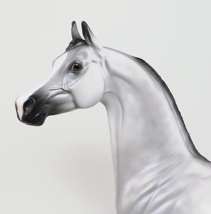 GILEAD-LE-10 DAPPLE GREY ARABIAN MODEL HORSE 5/6