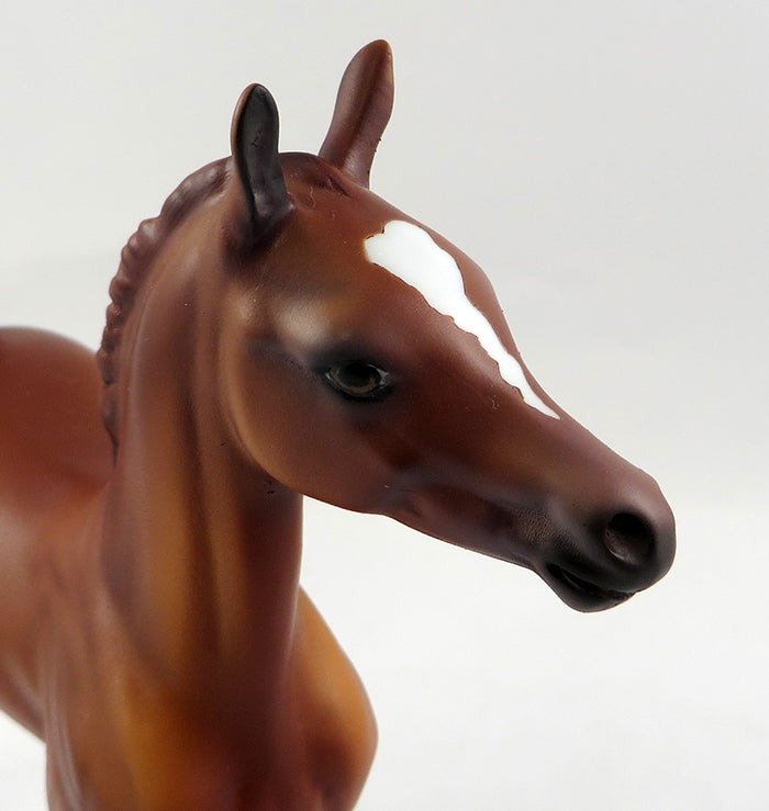 FROGGY-OOAK CHESTNUT COLT FOAL MODEL HORSE BY DAWN QUICK 10/18/16