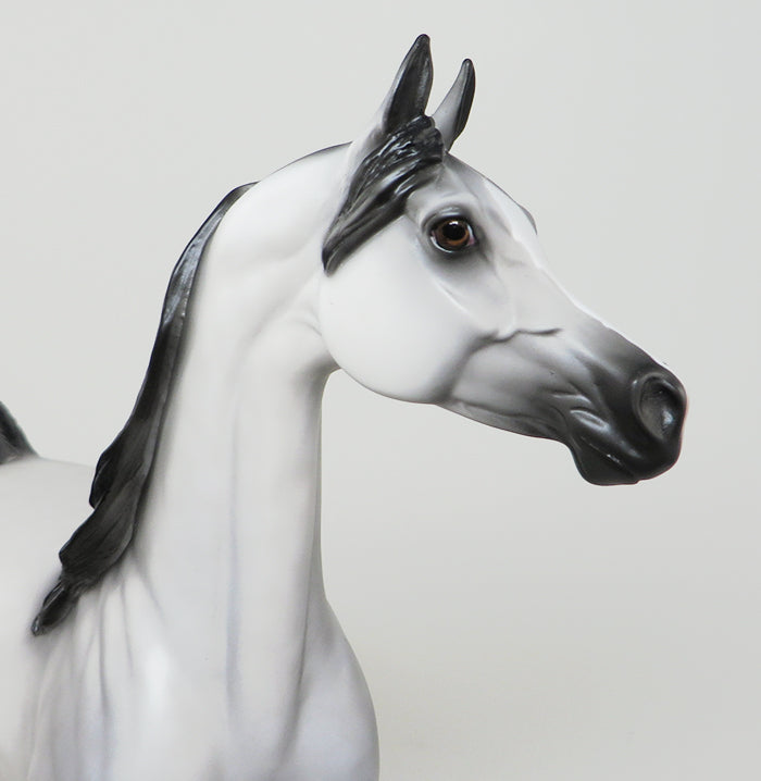 GILEAD-LE-10 DAPPLE GREY ARABIAN MODEL HORSE 5/6
