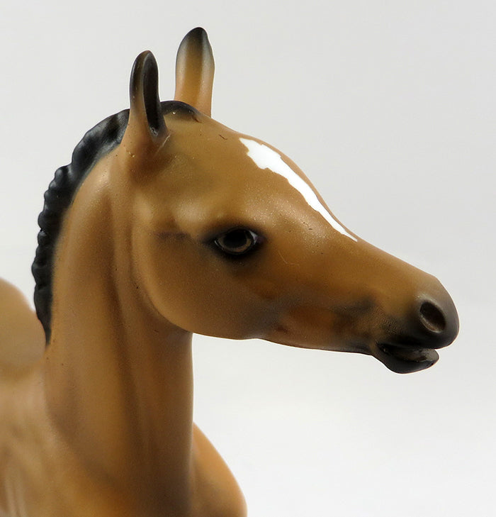 ALFALFA-OOAK BUCKSKIN COLT FOAL MODEL HORSE BY DAWN QUICK 10/18/16