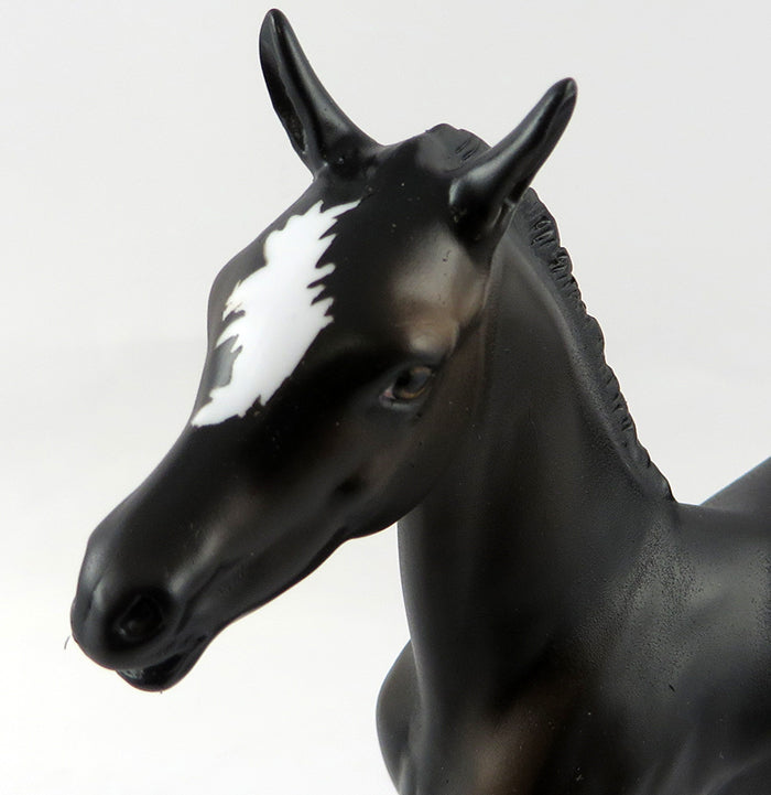 STYMIE-OOAK BLACK COLT FOAL MODEL HORSE BY DAWN QUICK 10/18/16