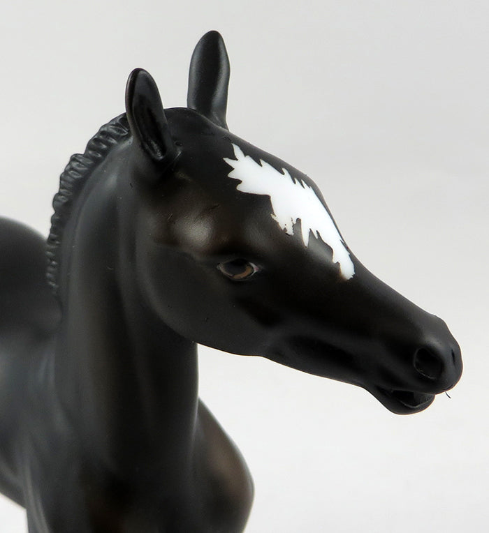 STYMIE-OOAK BLACK COLT FOAL MODEL HORSE BY DAWN QUICK 10/18/16