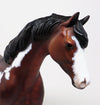 mapped paint pony
