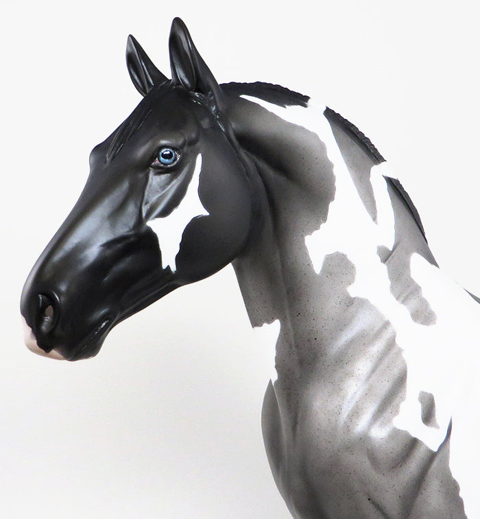 COUPE DE&#39;VILLE-OOAK BLUE ROAN PAINT STANDING DRAFTER MODEL HORSE 5/6