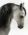 Andalusian