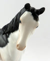 Filly