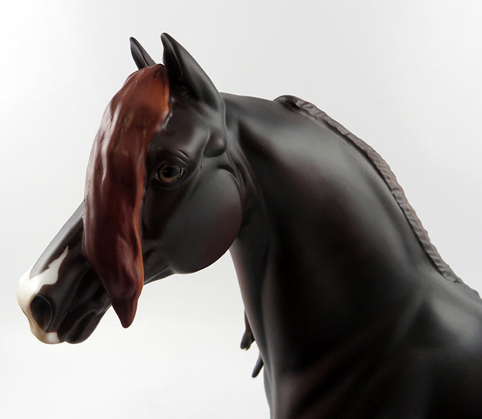 THE BURNING BUSH-OOAK LIVER CHESTNUT MORGAN MODEL HORSE 10/19/16