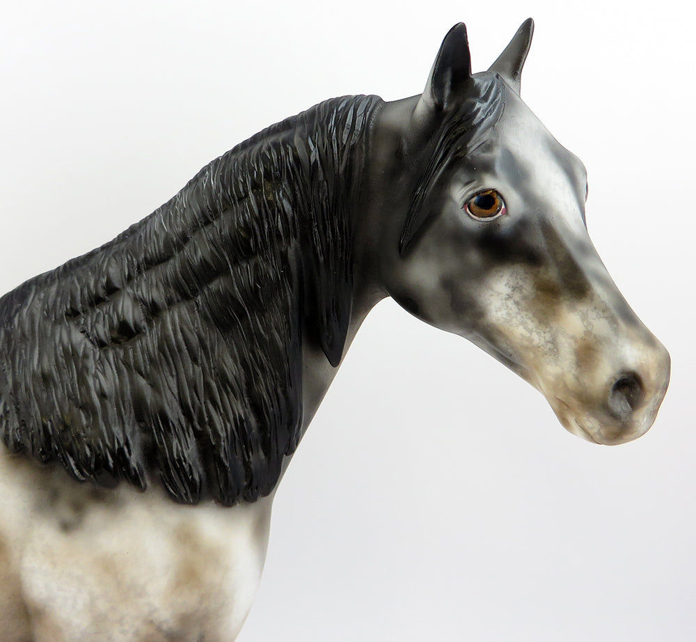 PEREZ~OOAK VARNISH ROAN APPALOOSA ISH MODEL HORSE 3/24