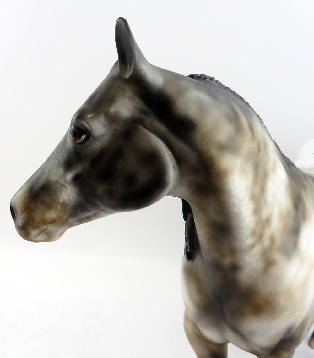 PEREZ~OOAK VARNISH ROAN APPALOOSA ISH MODEL HORSE 3/24