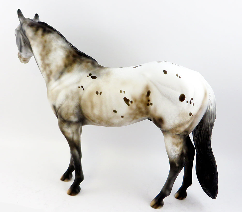PEREZ~OOAK VARNISH ROAN APPALOOSA ISH MODEL HORSE 3/24
