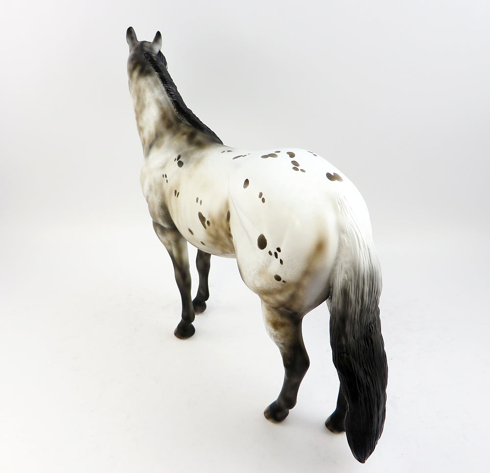 PEREZ~OOAK VARNISH ROAN APPALOOSA ISH MODEL HORSE 3/24