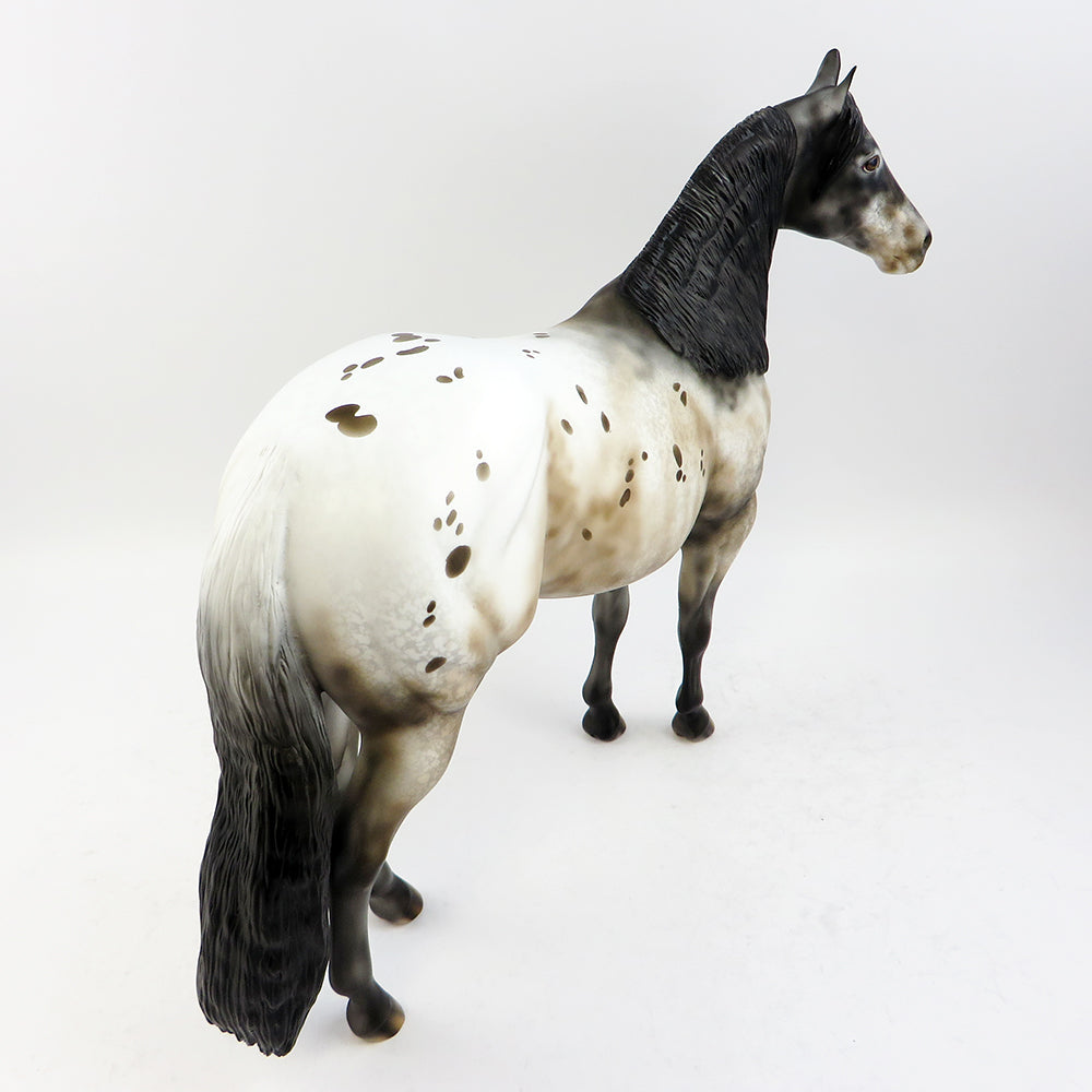 PEREZ~OOAK VARNISH ROAN APPALOOSA ISH MODEL HORSE 3/24
