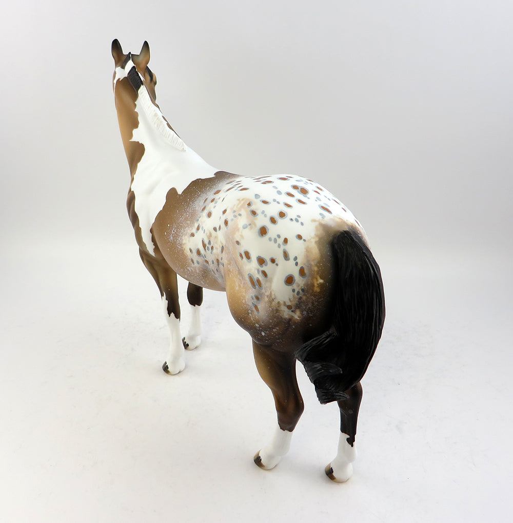 Appaloosa