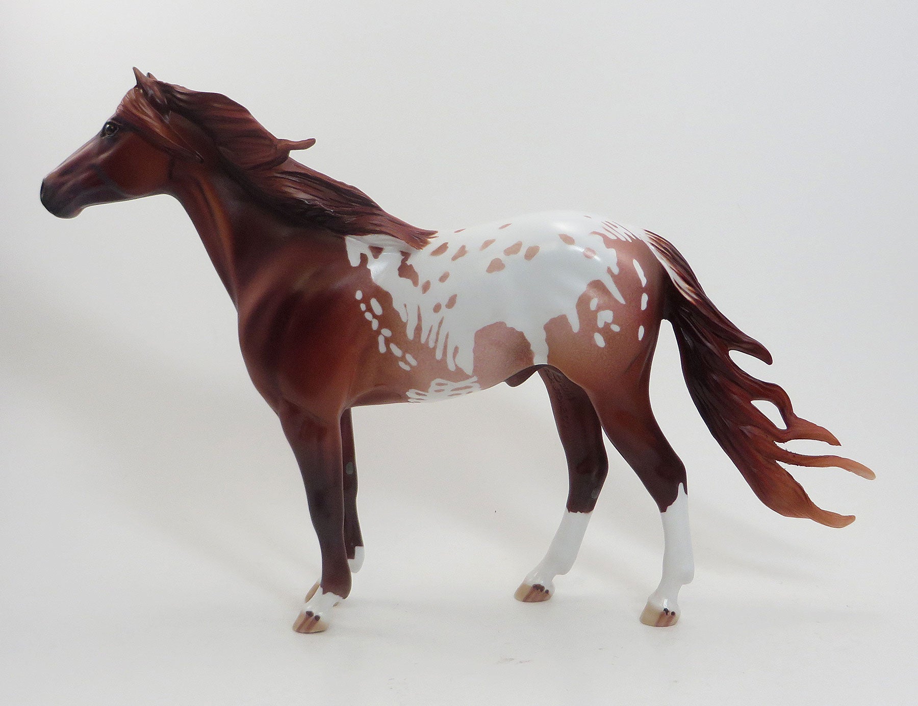 MY ONLY DESIRE- OOAK Chestnut Appaloosa Mustang 7/31