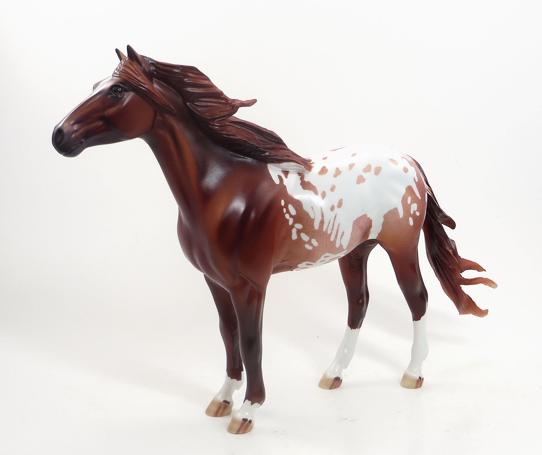 MY ONLY DESIRE- OOAK Chestnut Appaloosa Mustang 7/31