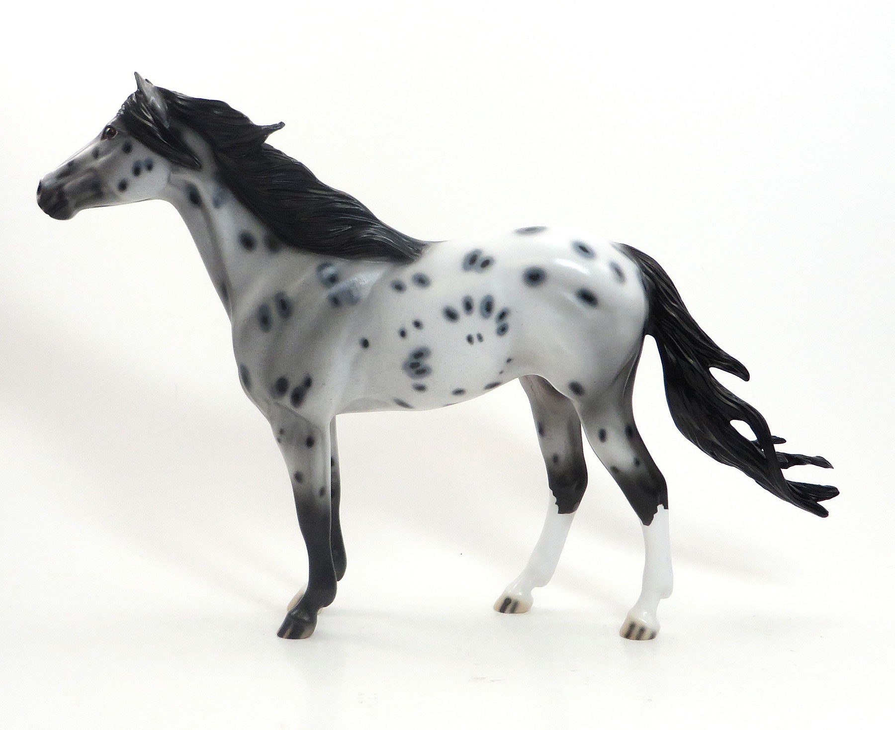 ZEALOUS ZINA- OOAK Appaloosa Mustang Mare W/Peacock Spots 7/23