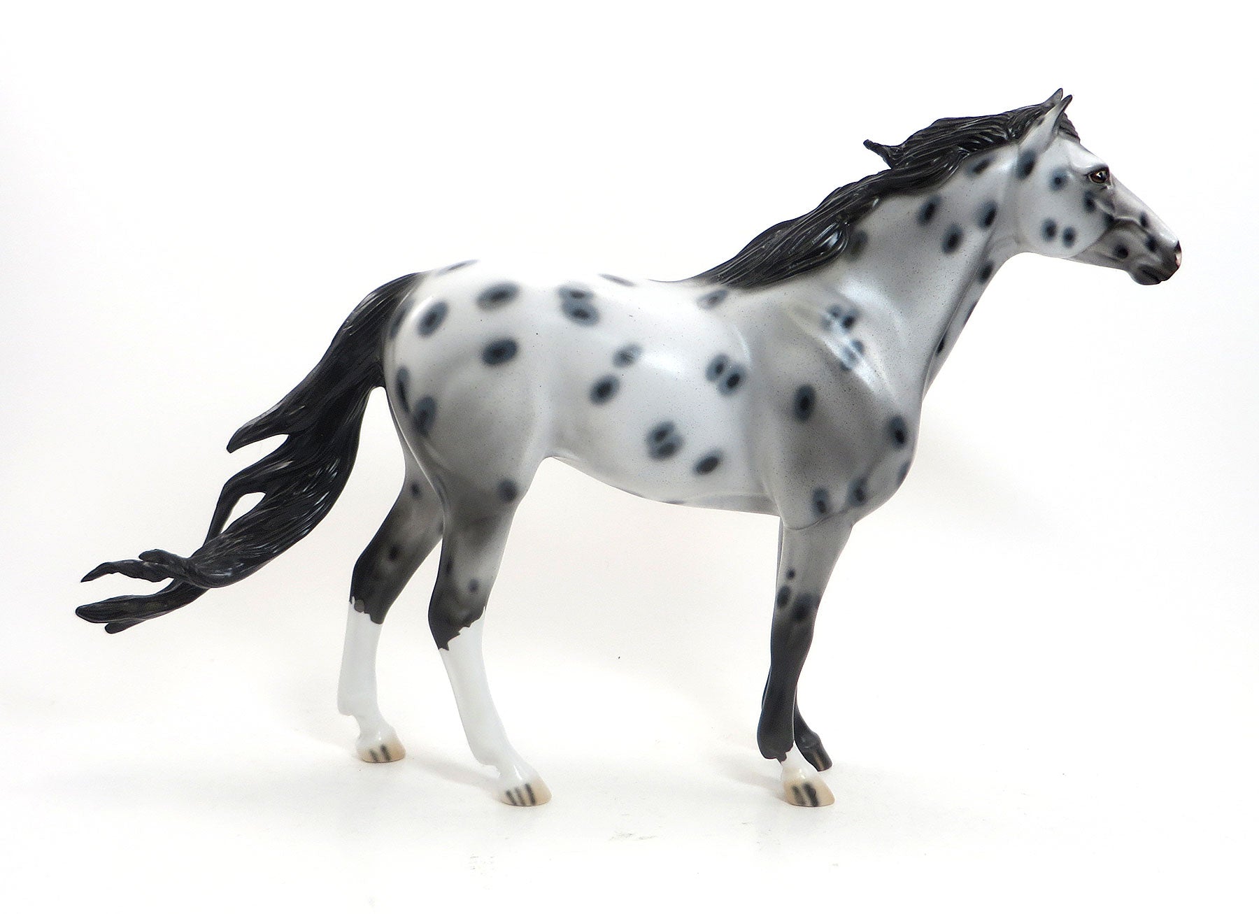 ZEALOUS ZINA- OOAK Appaloosa Mustang Mare W/Peacock Spots 7/23