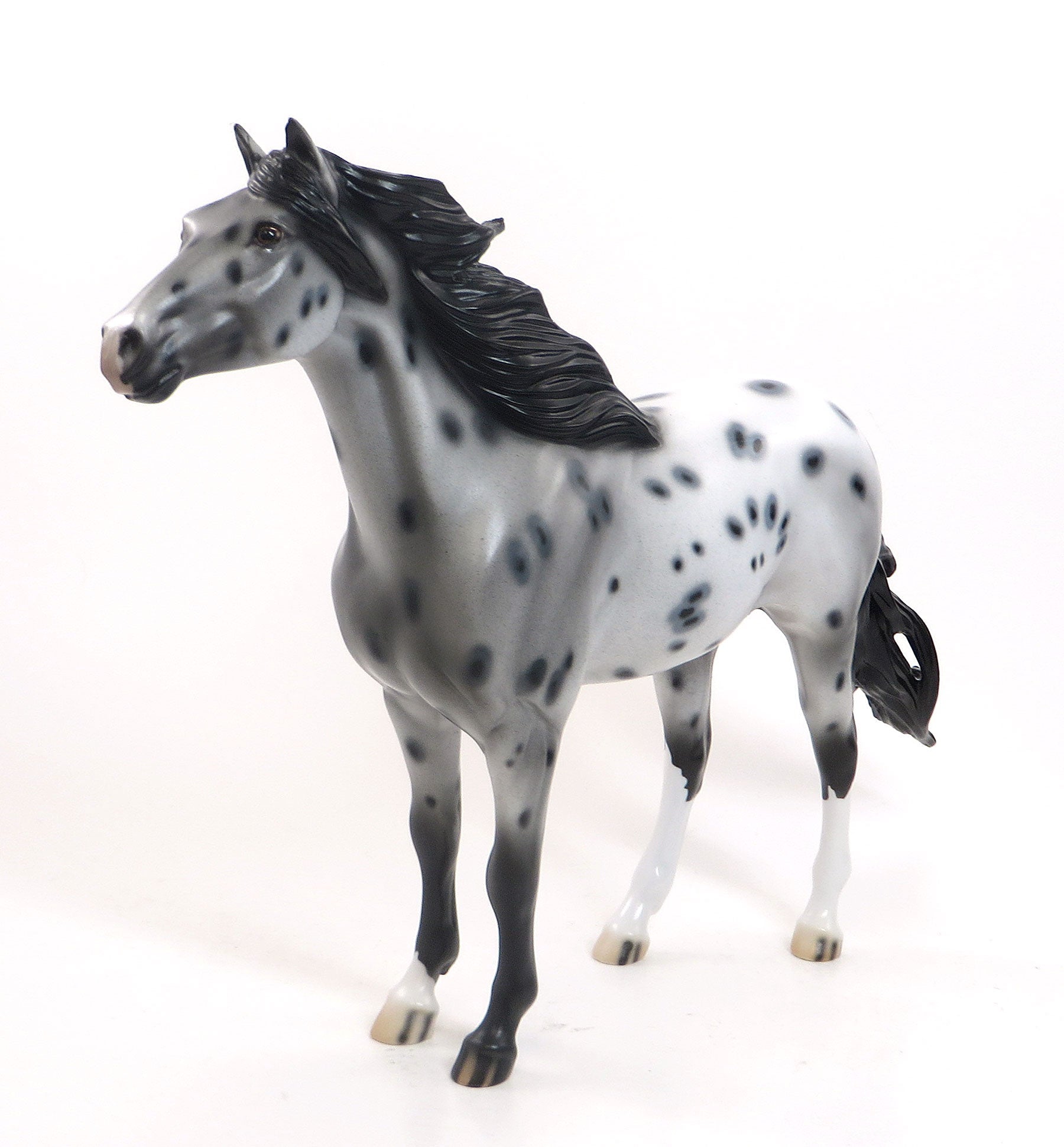 ZEALOUS ZINA- OOAK Appaloosa Mustang Mare W/Peacock Spots 7/23