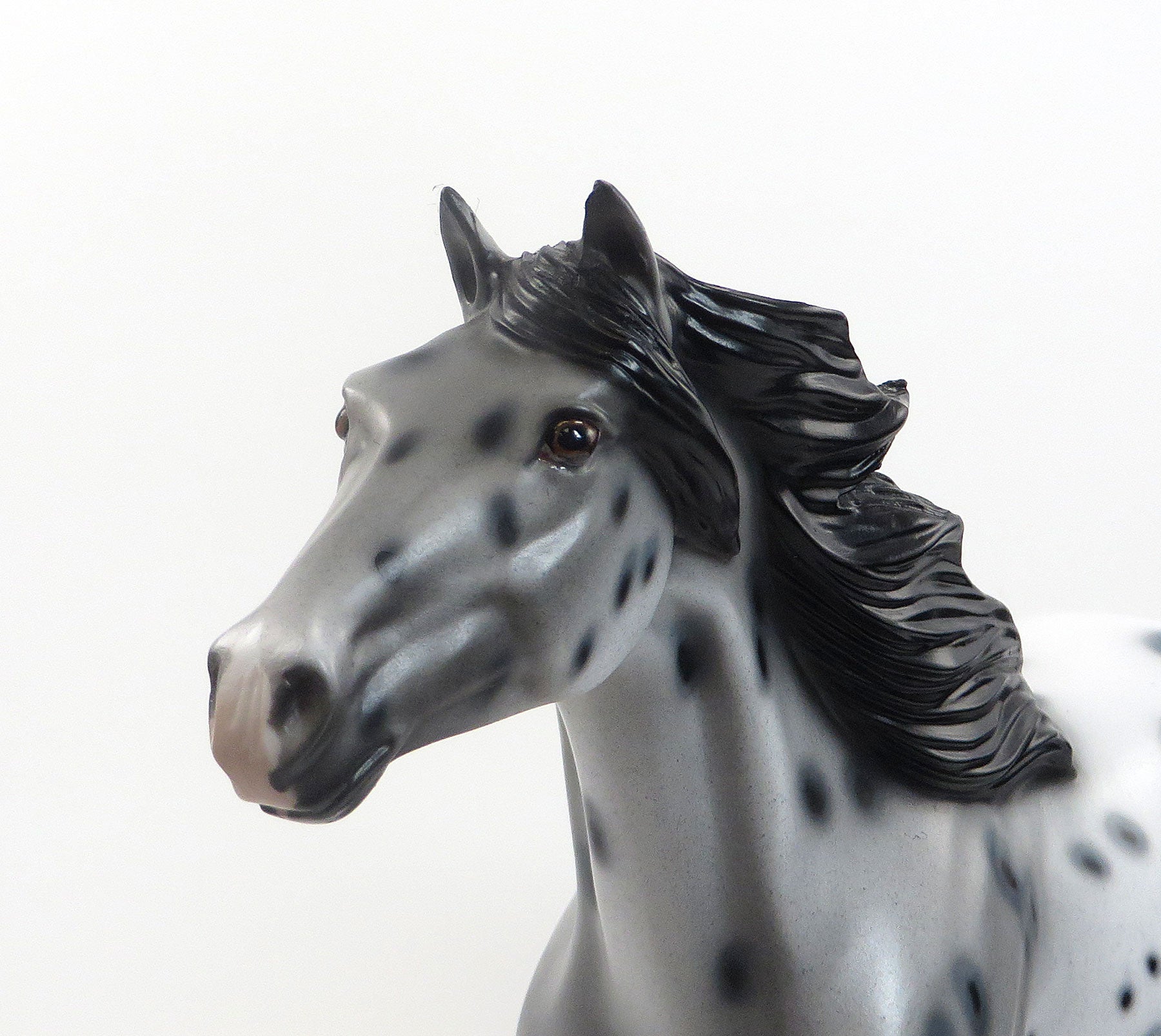 ZEALOUS ZINA- OOAK Appaloosa Mustang Mare W/Peacock Spots 7/23