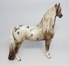 DANVILLE~OOAK APPALOOSA MORGAN MODEL HORSE 9/25/17