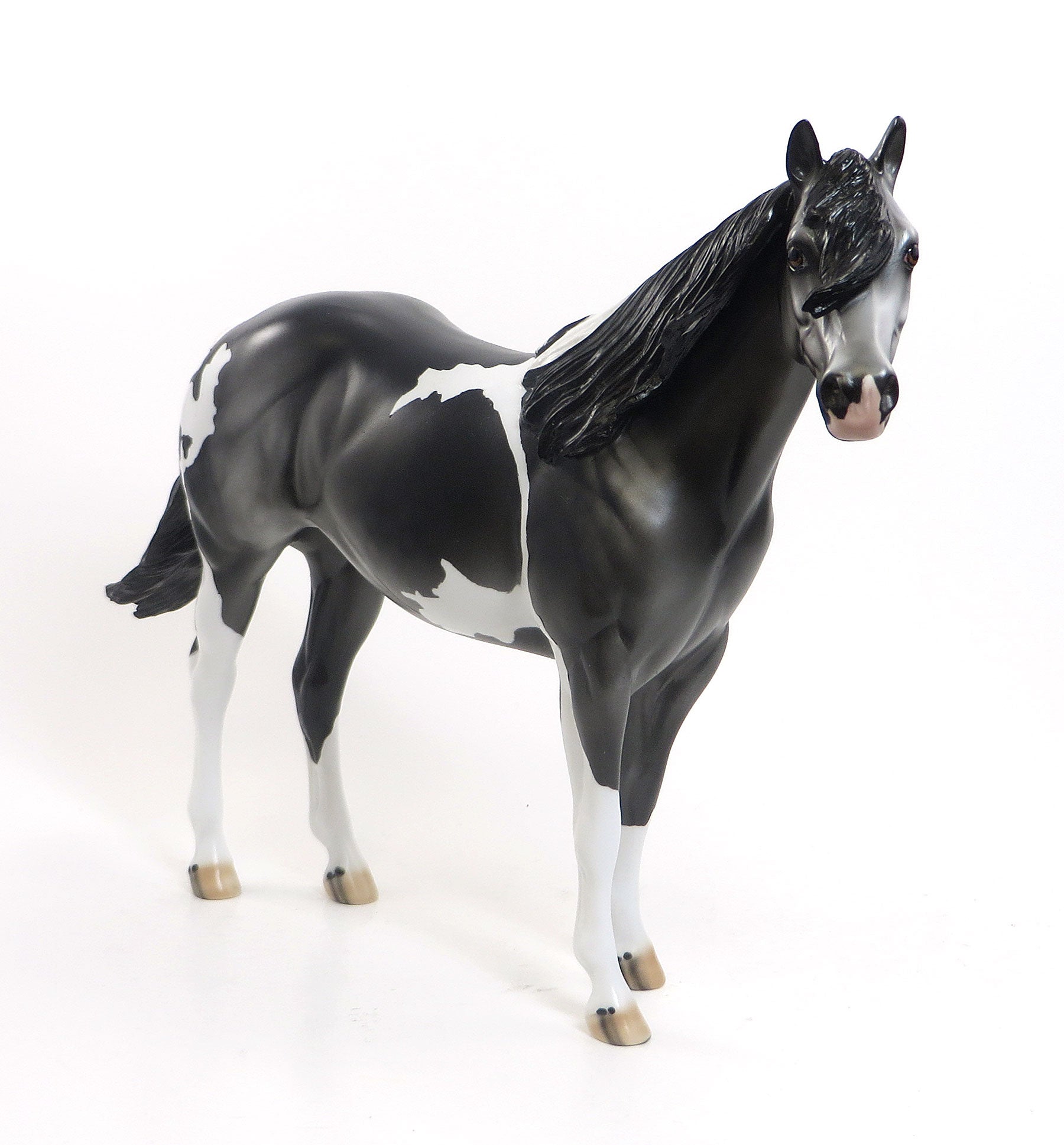 SMOKIN&#39; GUNZ - OOAK Dappled Black Tobiano  Stock Horse Mare 7/31
