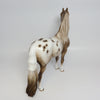 DANVILLE~OOAK APPALOOSA MORGAN MODEL HORSE 9/25/17
