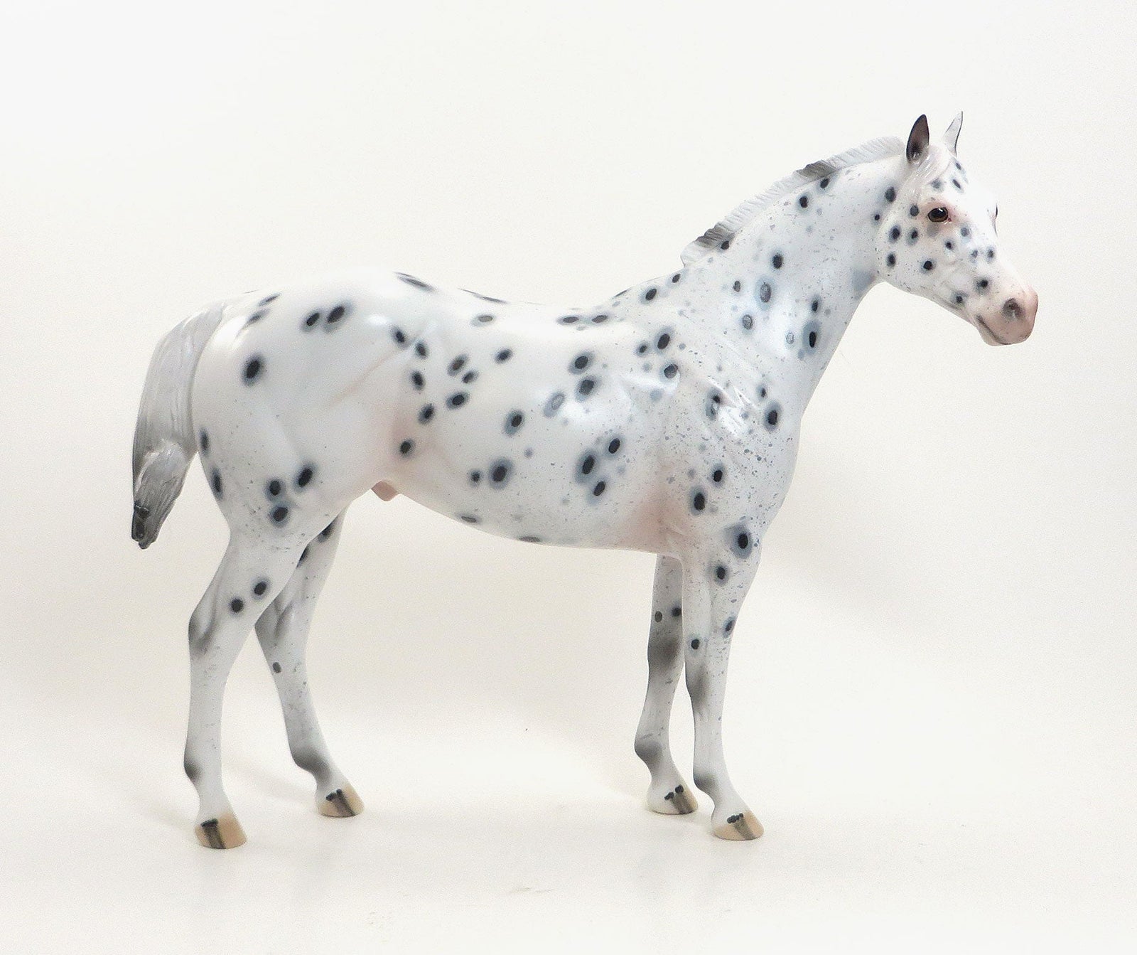 MR. TWO FEATHERS - OOAK Appaloosa Stock Horse with Peacock Spots - 7/31