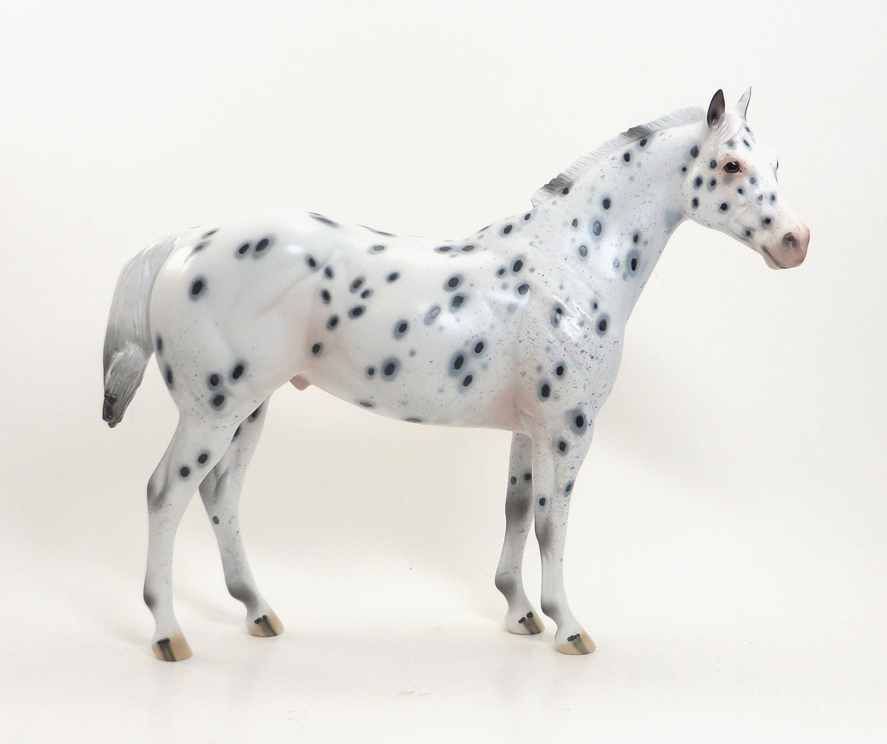 MR. TWO FEATHERS - OOAK Appaloosa Stock Horse with Peacock Spots - 7/31