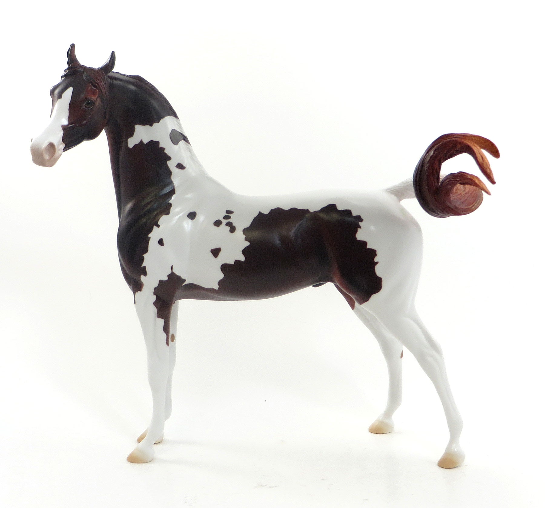 WILD ROMANCE- LE2 Dapple Dark Chestnut Pinto Arabian 7/31