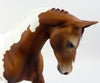 pony