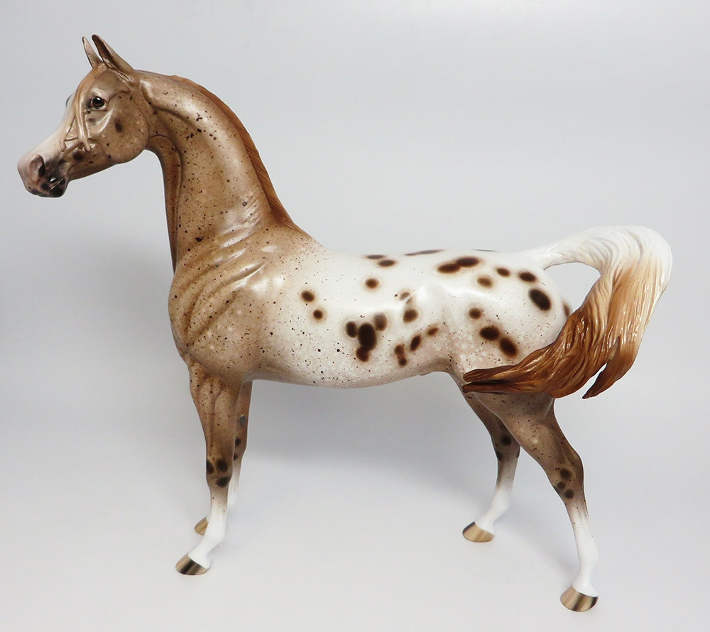 HOLY SMOKES~OOAK LOUD CHESTNUT APPALOOSA ARABIAN 9/25/17