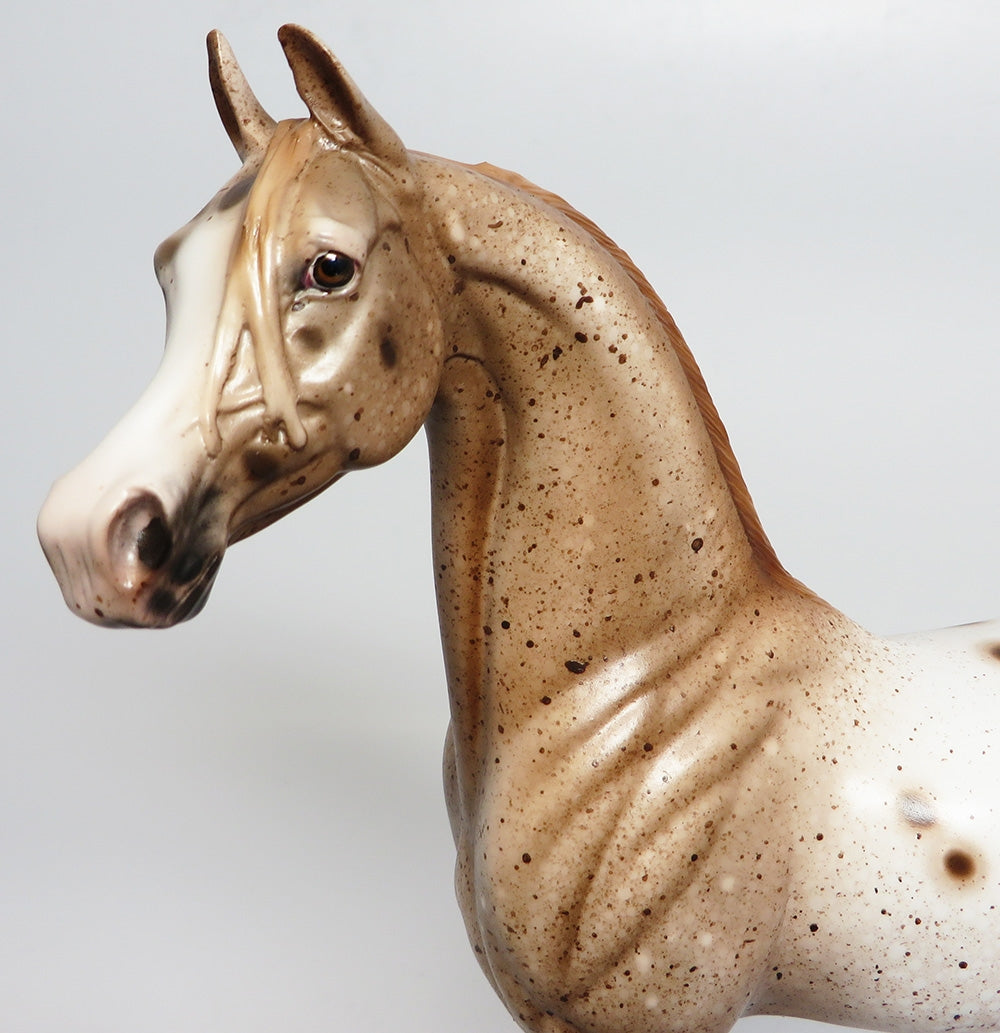 HOLY SMOKES~OOAK LOUD CHESTNUT APPALOOSA ARABIAN 9/25/17