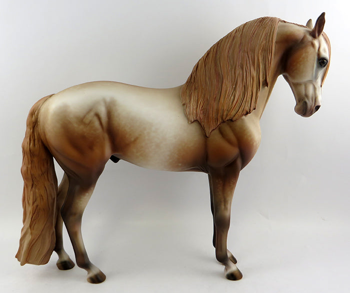 RONDY-DAPPLE CHESTNUT GOING GREY ANDALUSIAN MODEL By Al 10/2016