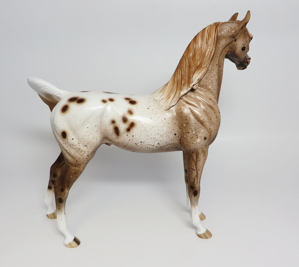 HOLY SMOKES~OOAK LOUD CHESTNUT APPALOOSA ARABIAN 9/25/17