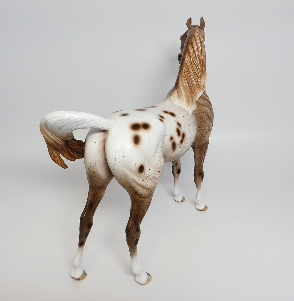 HOLY SMOKES~OOAK LOUD CHESTNUT APPALOOSA ARABIAN 9/25/17