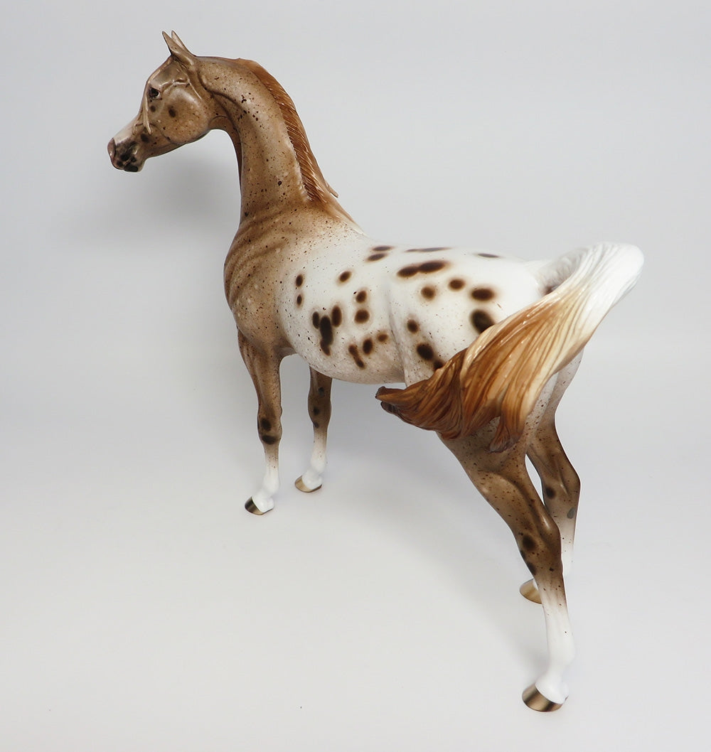 HOLY SMOKES~OOAK LOUD CHESTNUT APPALOOSA ARABIAN 9/25/17