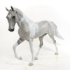 TENNESSEE WALTZ - OOAK Dapple Grey Tennessee Walker 7/31