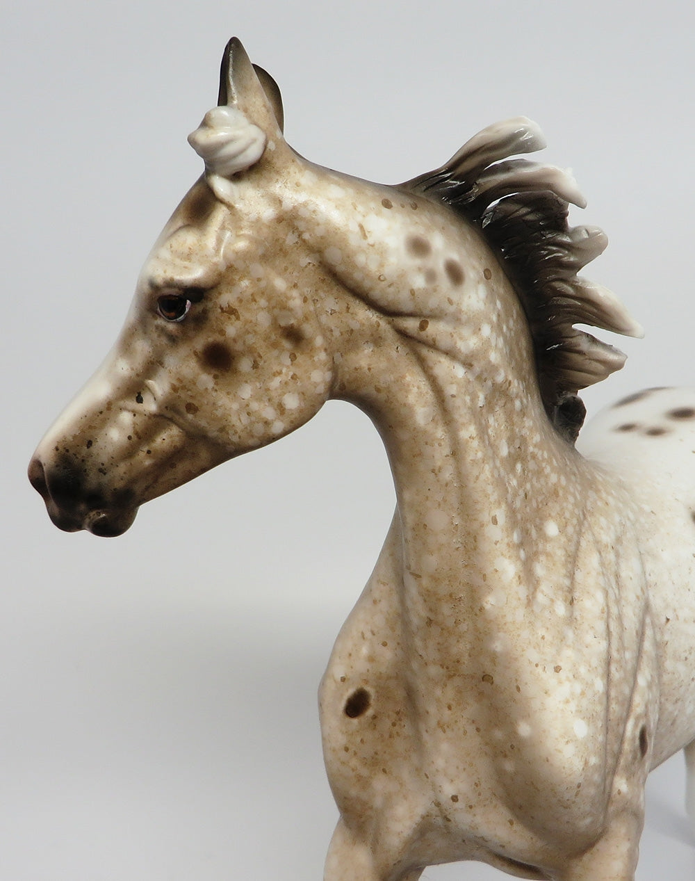 LINGER-OOAK CHESTNUT APPALOOSA YEARLING MODEL HORSE 9/25/17