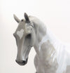 TENNESSEE WALTZ - OOAK Dapple Grey Tennessee Walker 7/31