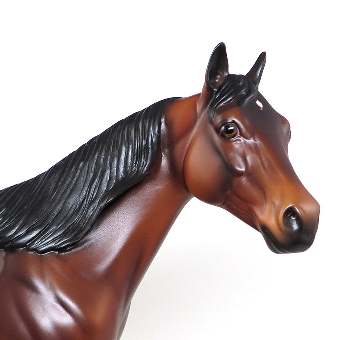 limited edtion ish model horse casey