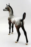 foal