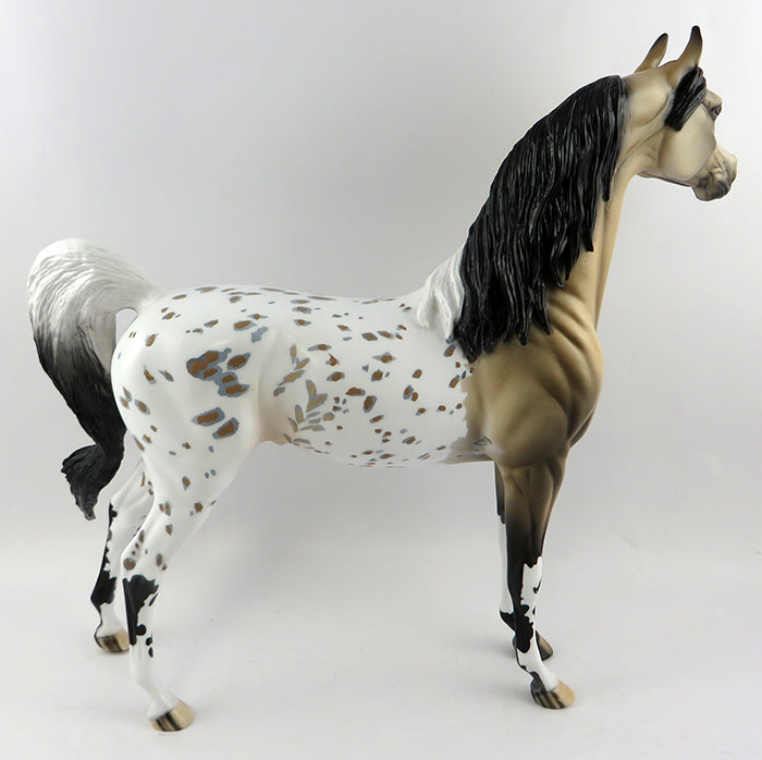 FURY-OOAK BUCKSKIN APPALOOSA ARABIAN MODEL HORSE 10/21/16