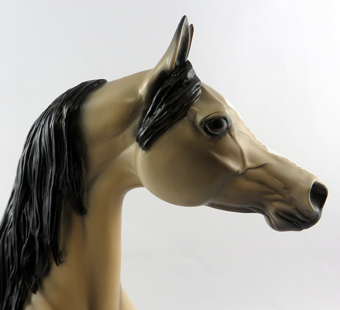 FURY-OOAK BUCKSKIN APPALOOSA ARABIAN MODEL HORSE 10/21/16