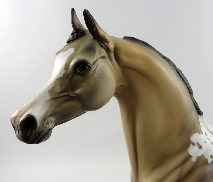 FURY-OOAK BUCKSKIN APPALOOSA ARABIAN MODEL HORSE 10/21/16