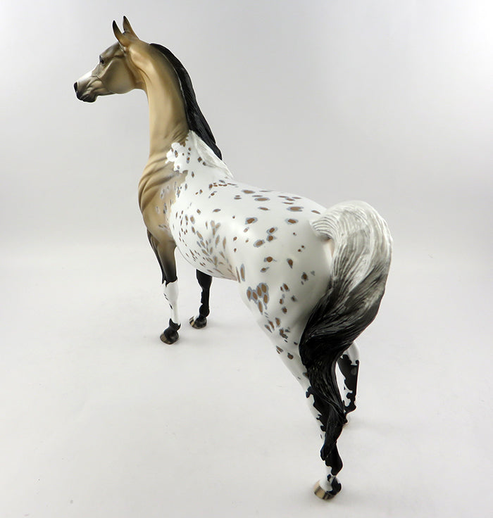 FURY-OOAK BUCKSKIN APPALOOSA ARABIAN MODEL HORSE 10/21/16