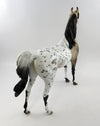 FURY-OOAK BUCKSKIN APPALOOSA ARABIAN MODEL HORSE 10/21/16