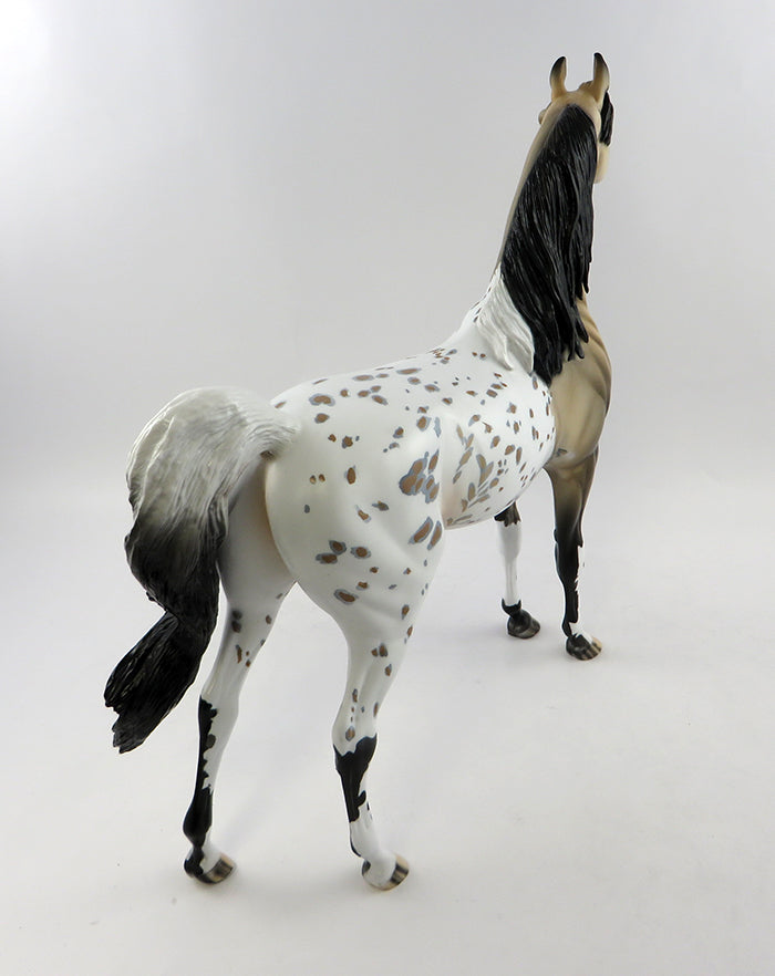 FURY-OOAK BUCKSKIN APPALOOSA ARABIAN MODEL HORSE 10/21/16